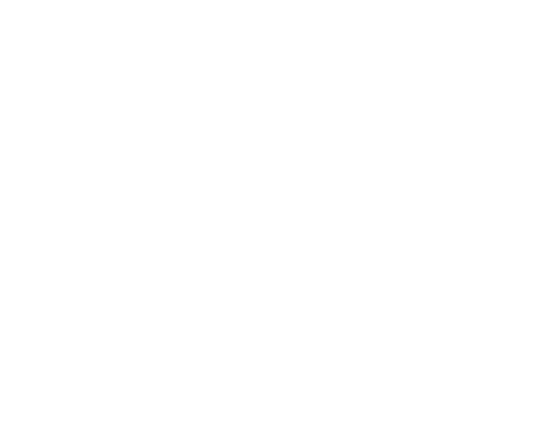 Salam Fairs logo